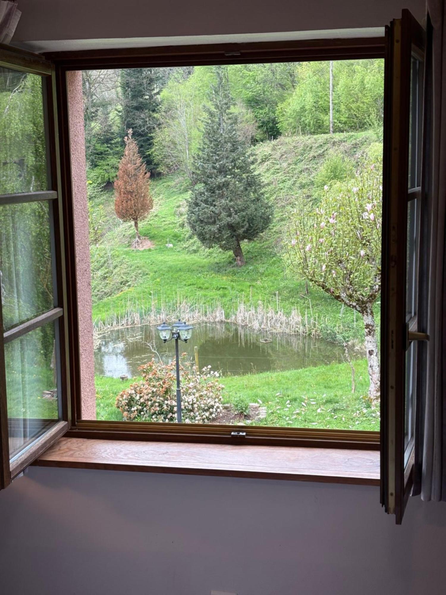 La Belle Charbonniere La Grande Fosse Quarto foto