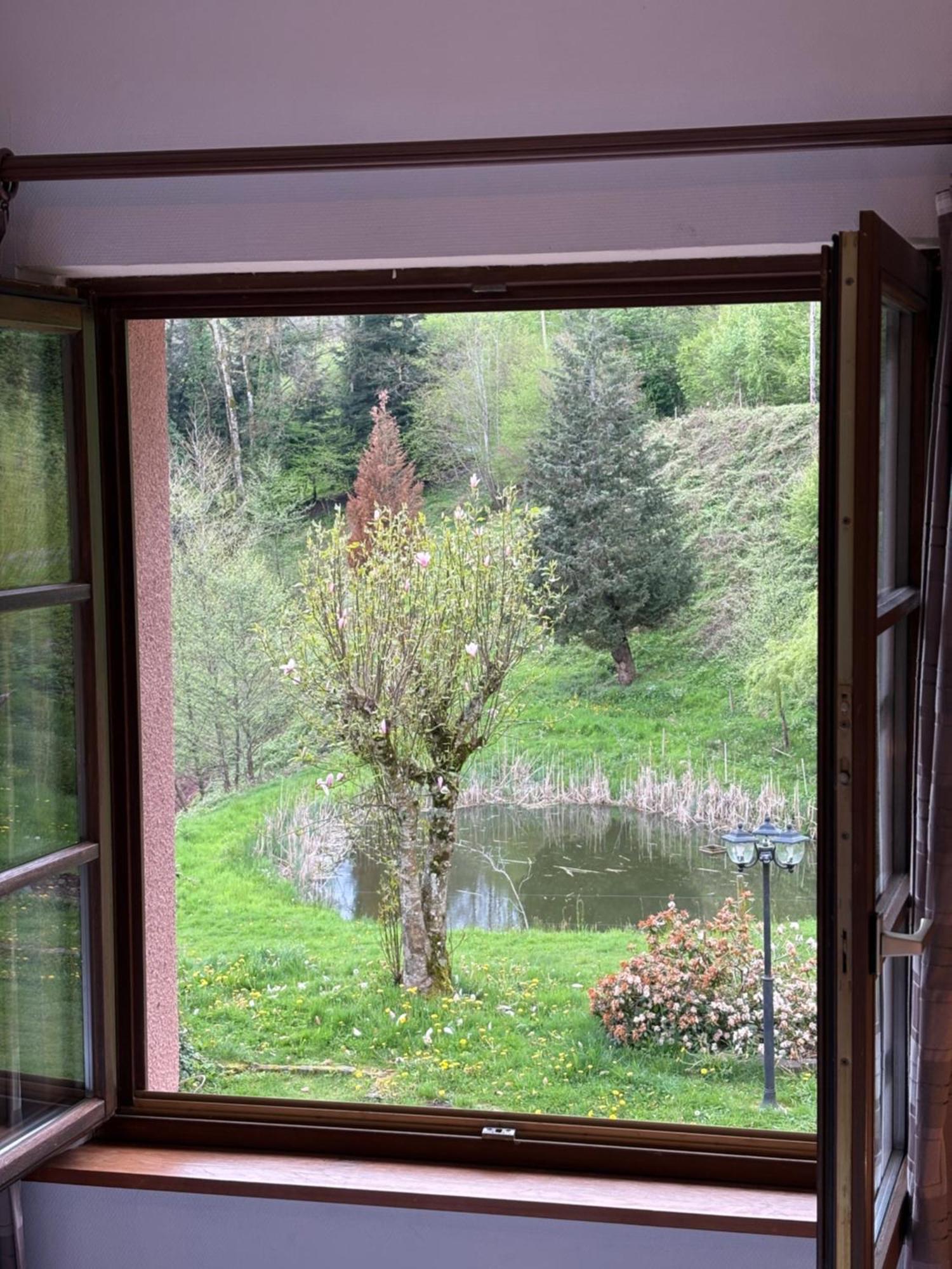 La Belle Charbonniere La Grande Fosse Quarto foto