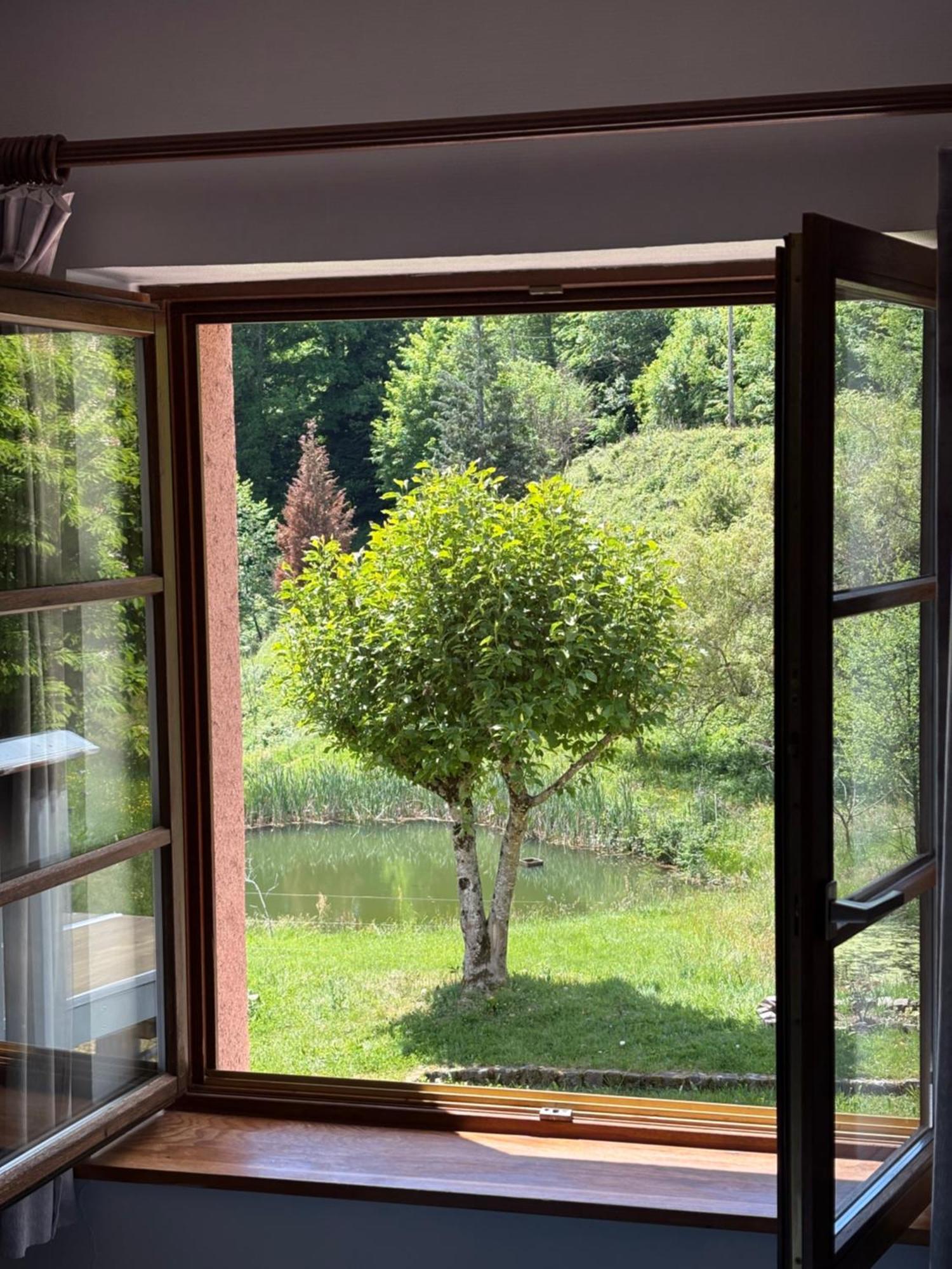 La Belle Charbonniere La Grande Fosse Quarto foto